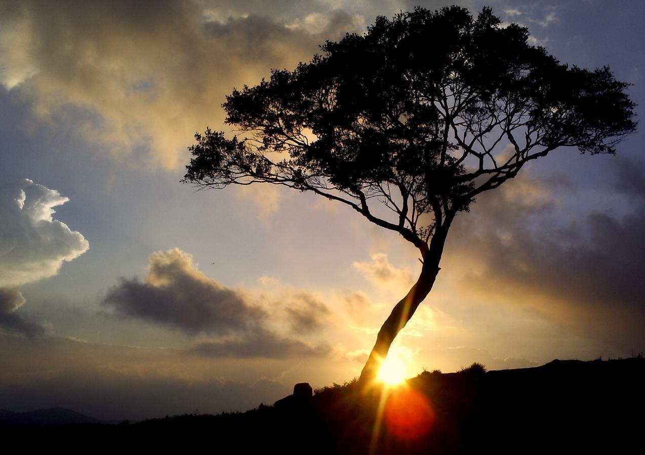 The Plains Green Ambawela ภายนอก รูปภาพ